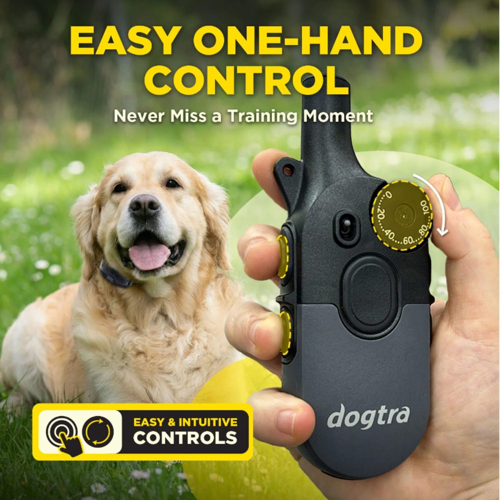 Dogtra 600iQ