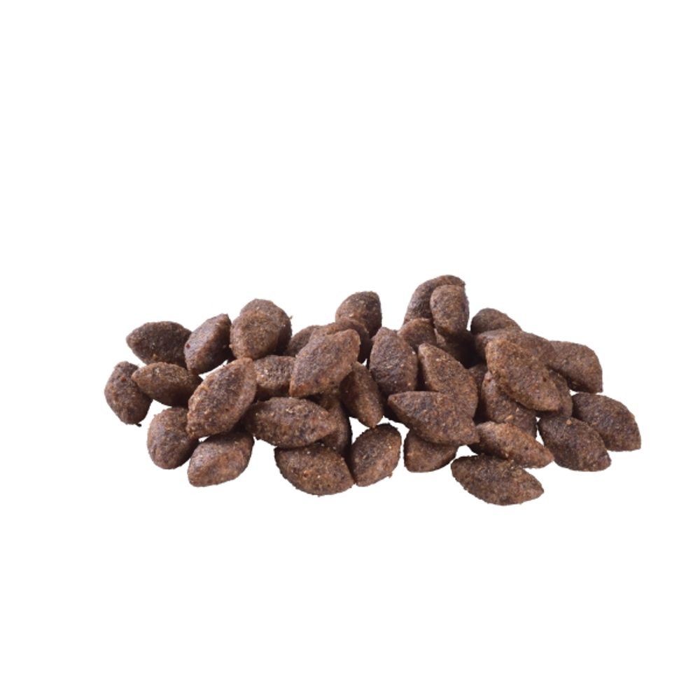 Expirácia 30.4. 2026: Brit Care Dog Sustainable Activity Chicken & Insect 3 kg