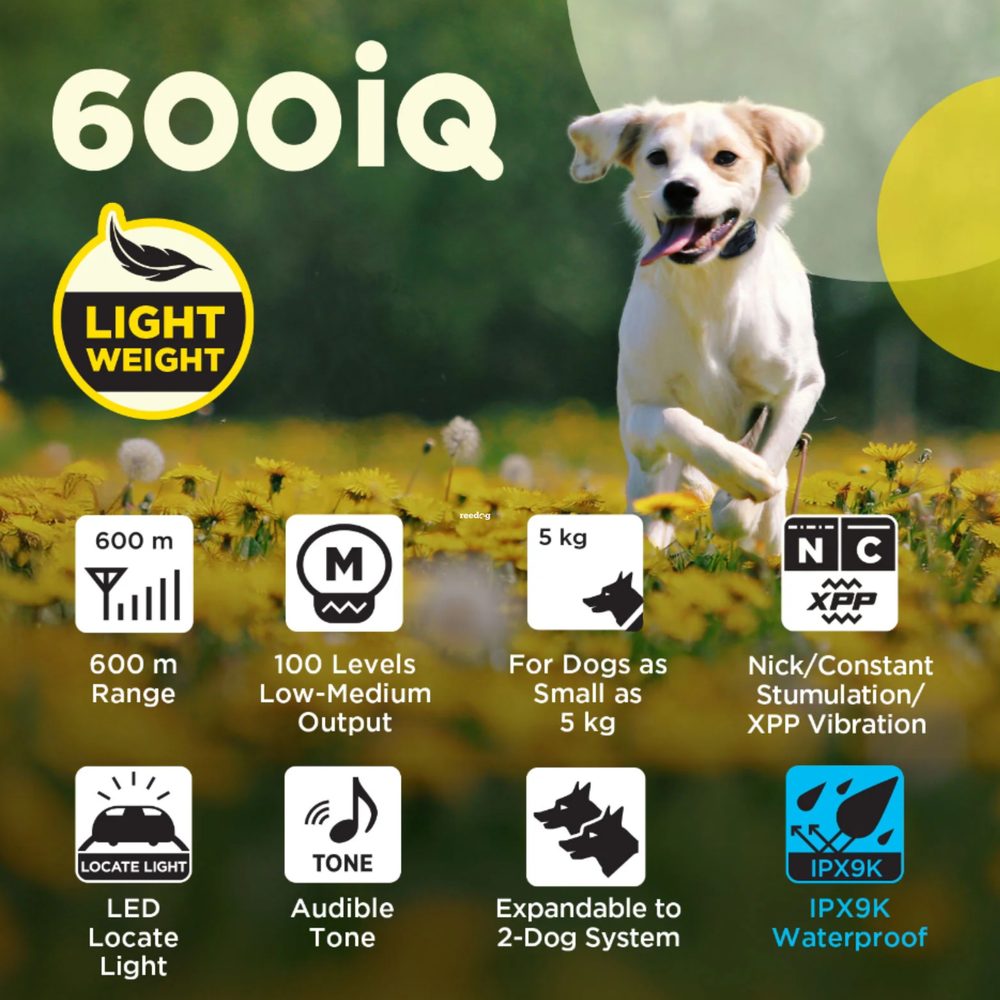 Dogtra 600iQ
