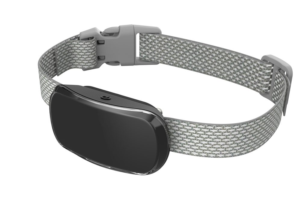 Reedog TC-005 - černá