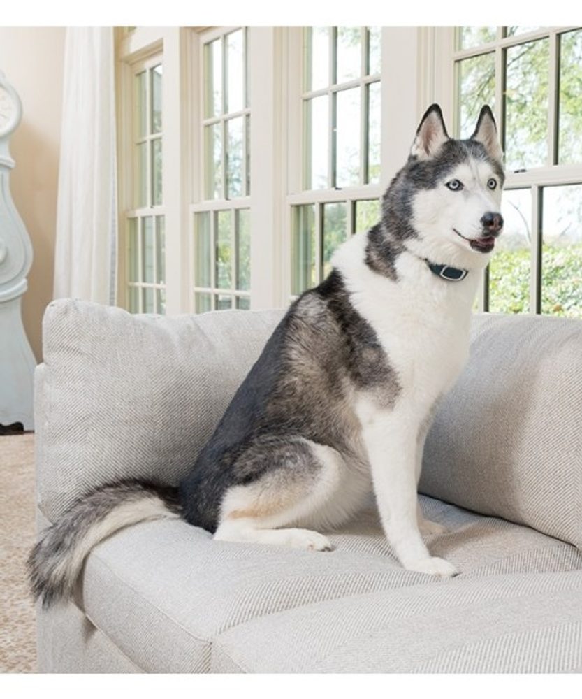 PetSafe® Standard (obrázek 4)