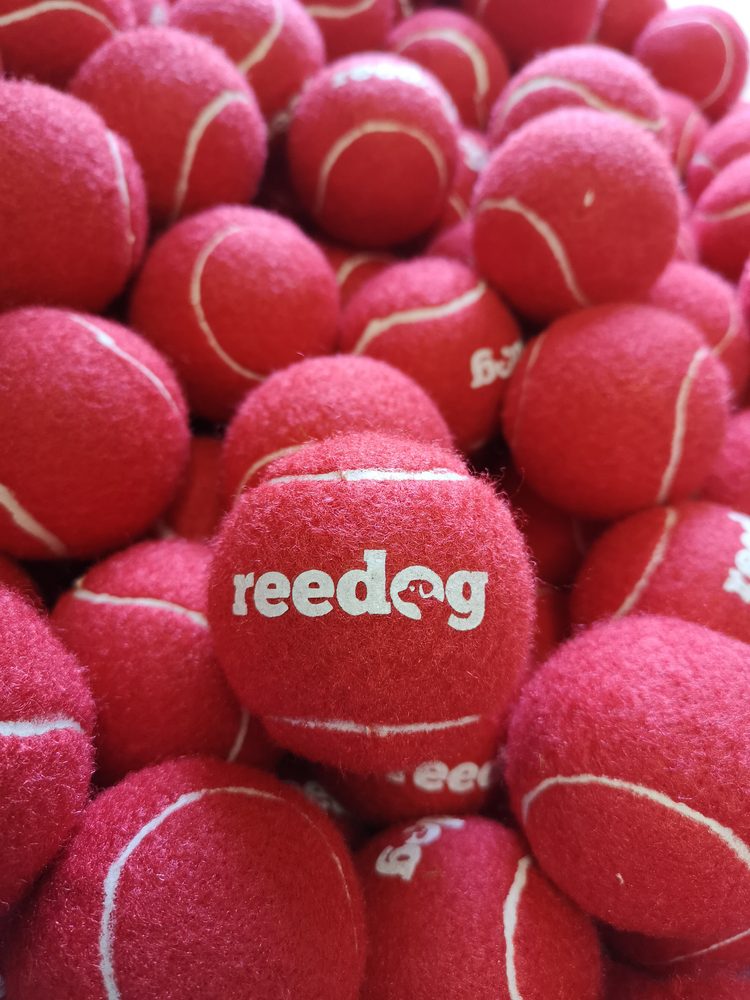 Reedog tenisový míček pro psa - S (obrázek 3)