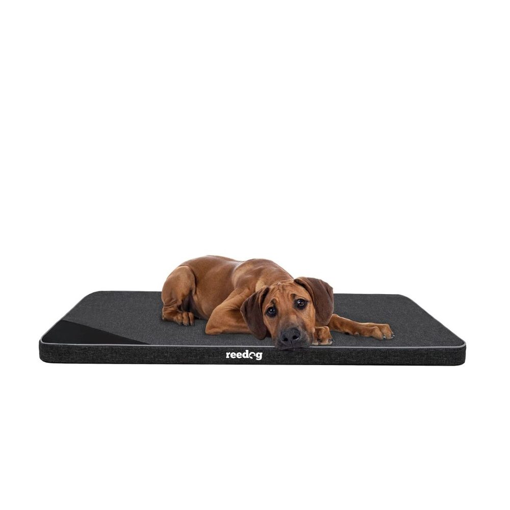 Reedog Matrace Thin Ekolen Black - L (obrázek 5)