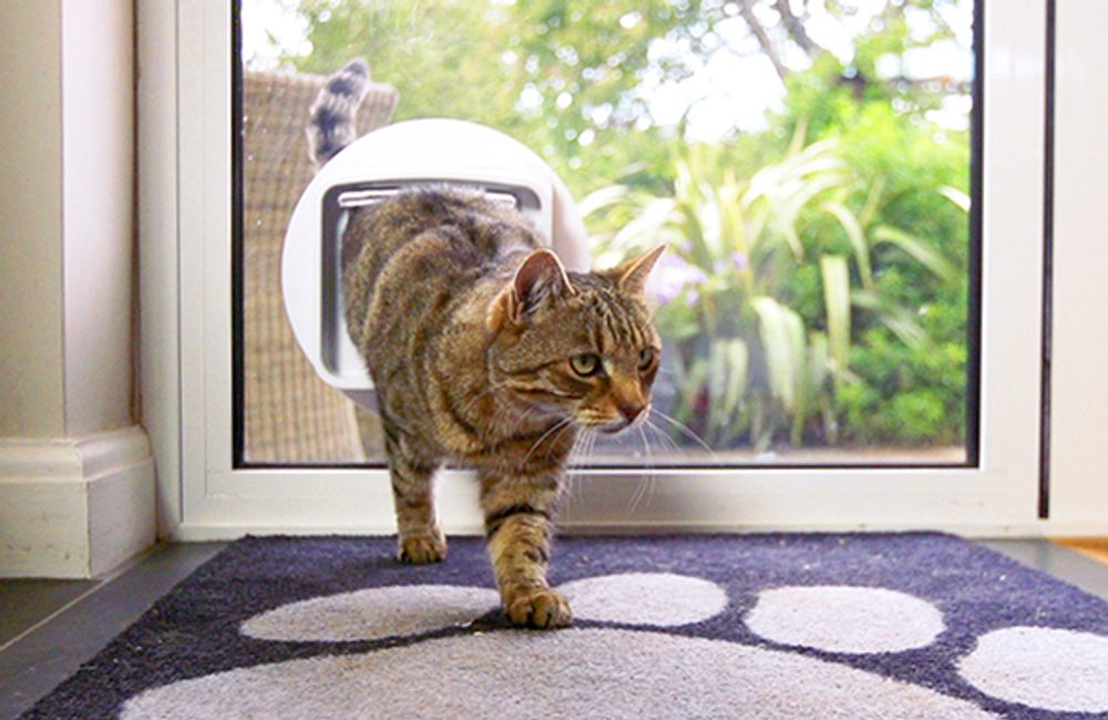 Dvířka pro kočky Sureflap Microchip Cat Door Connect (obrázek 9)