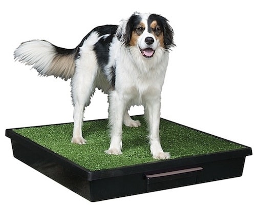 Pet Loo - S