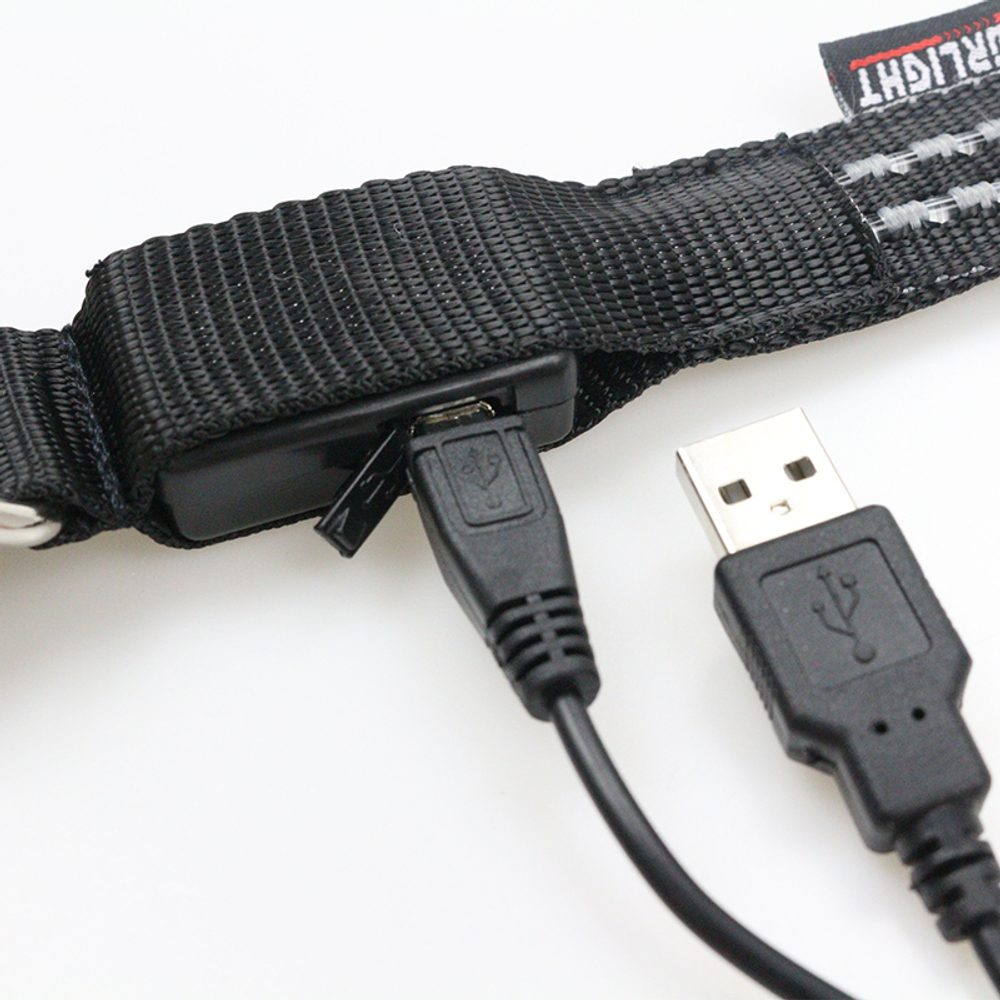Svietivý USB svietiaci obojok Reedog pre malé, stredné a veľké psy - Modrá - L