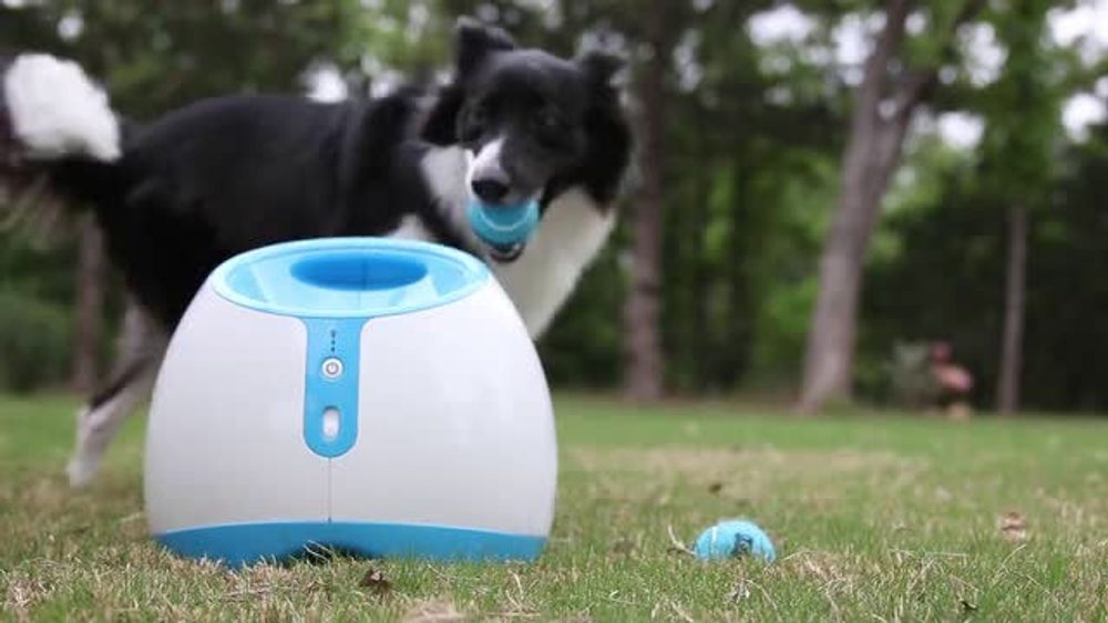 BAZAR - iFetch Too automatický vrhač loptičiek.
!UPOZORNENIE: Zariadenie je bez sieťového adaptéra!
Zariadenie je len rozbalené, prípadne bol poškodený obal a bolo preto prebalené do neoriginálneho obalu.
2) Zánovný
Tovar bolo používané ako predvádzacie, na predajni, alebo bolo zákazníkovi vymenený v priebehu niekoľkých dní.
3) Ľahko použitej
Zariadenie bolo používané 5 - 15 dní, sú na ňom už viditeľné škrabance od pazúrov.
4) Ťažko použité
Zariadenie bolo používané 15 až 40 dní, sú na ňom veľmi viditeľné škrabance, alebo odtlačky zubov.
Záručná doba u stave 