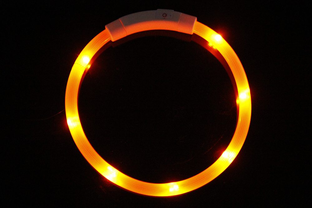 Reedog Easy Light USB dobíjecí svítící obojek pro psy a kočky - Modrá (obrázek 8)