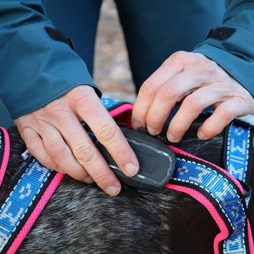 Dogtrace Tracker pre psov DOG GPS ultra