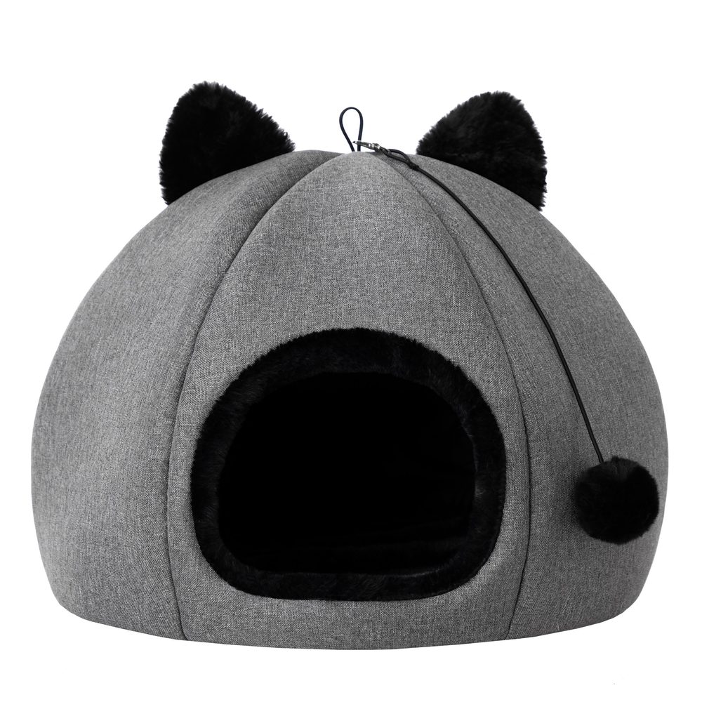 Reedog Iglú Kitty Head Grafit - S