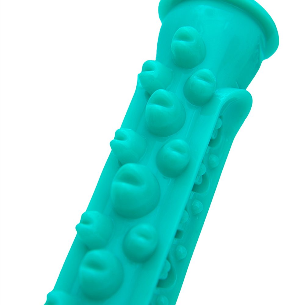 Reedog chew toy (obrázek 3)