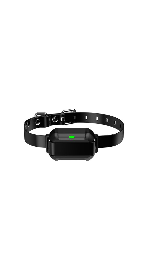 Patpet F900 PLUS (obrázek 3)
