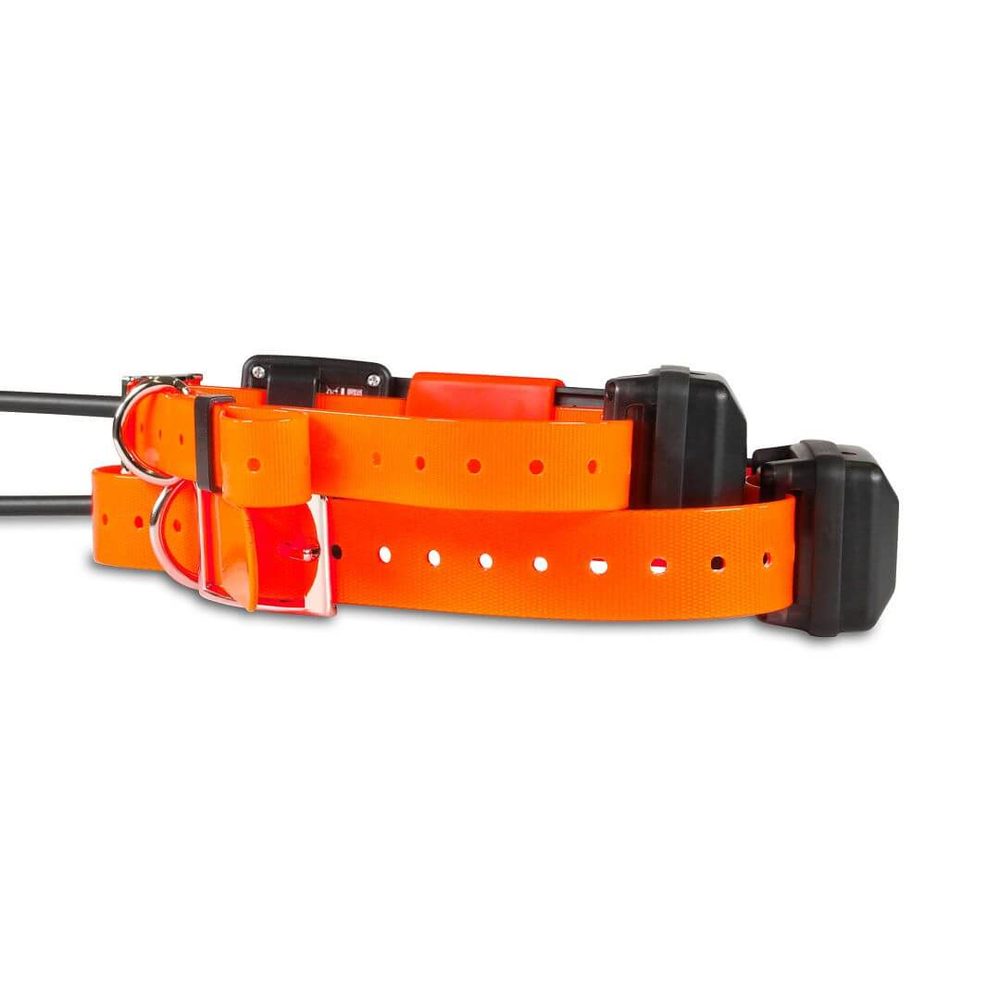 Kratší obojek pro dalšího psa - DOG GPS X25T Short (obrázek 10)