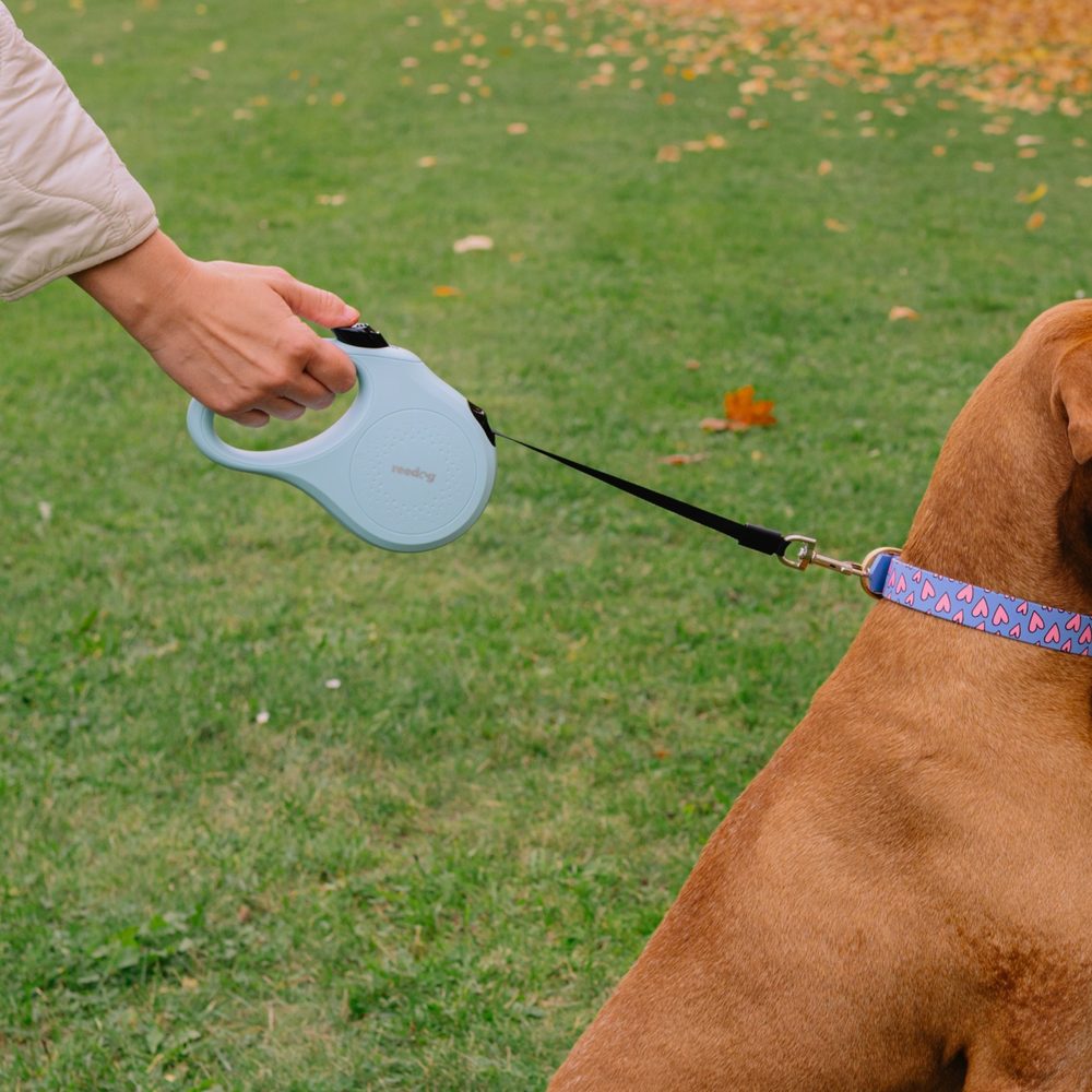 Reedog Senza Basic samonavíjacie vodítko M 25 kg / 5 m páska / pastelová mätová