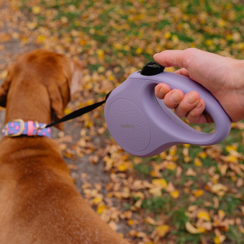 Reedog Senza Basic samonavíjacie vodítko M 25kg/ 5 m páska / pastelové fialové
