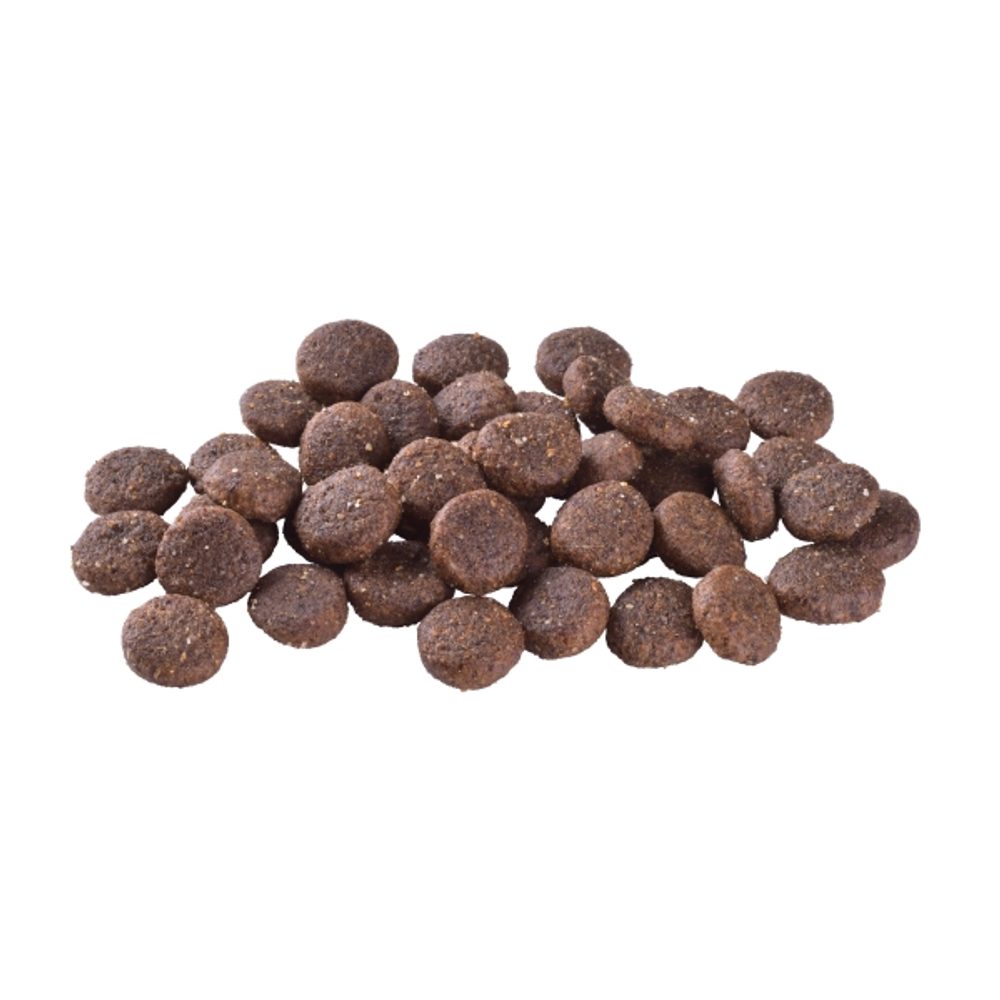 Expirácia 16. 5. 2026: Brit Care Dog Sustainable Junior Large Breed Chicken & Insect 3 kg