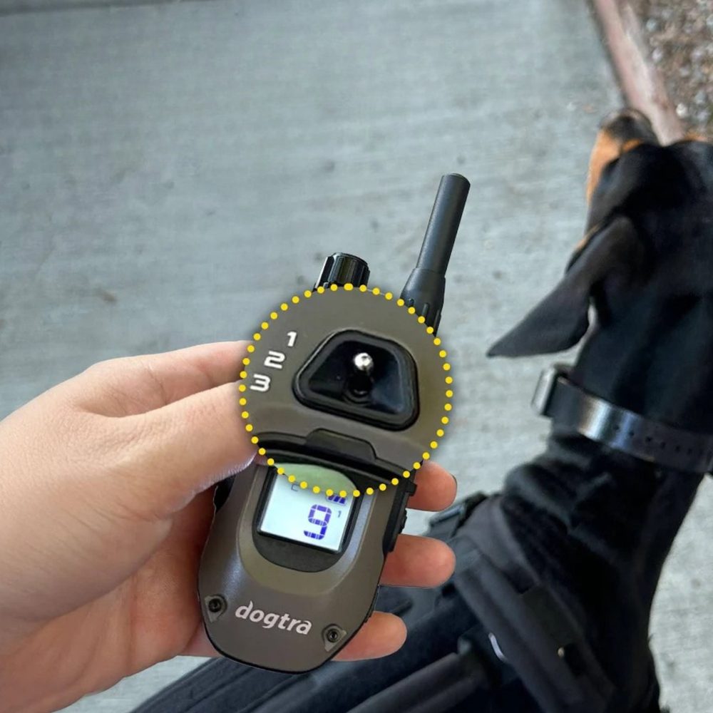 Dogtra 1200X - pro 2 psy (obrázek 3)