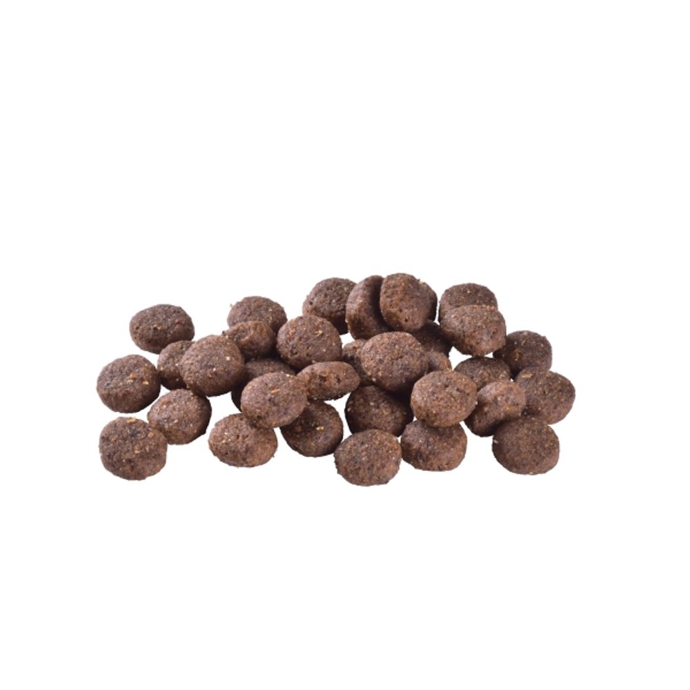Brit Care Dog Sustainable Adult Medium Breed Chicken & Insect 1 kg (obrázek 3)