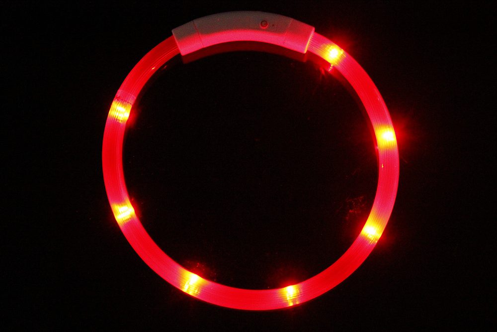 Reedog Easy Light USB dobíjecí svítící obojek pro psy a kočky - Modrá (obrázek 4)