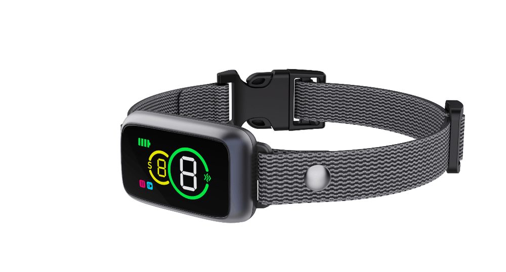 Reedog No Bark Smart Mini Pro TC-011 (obrázek 4)
