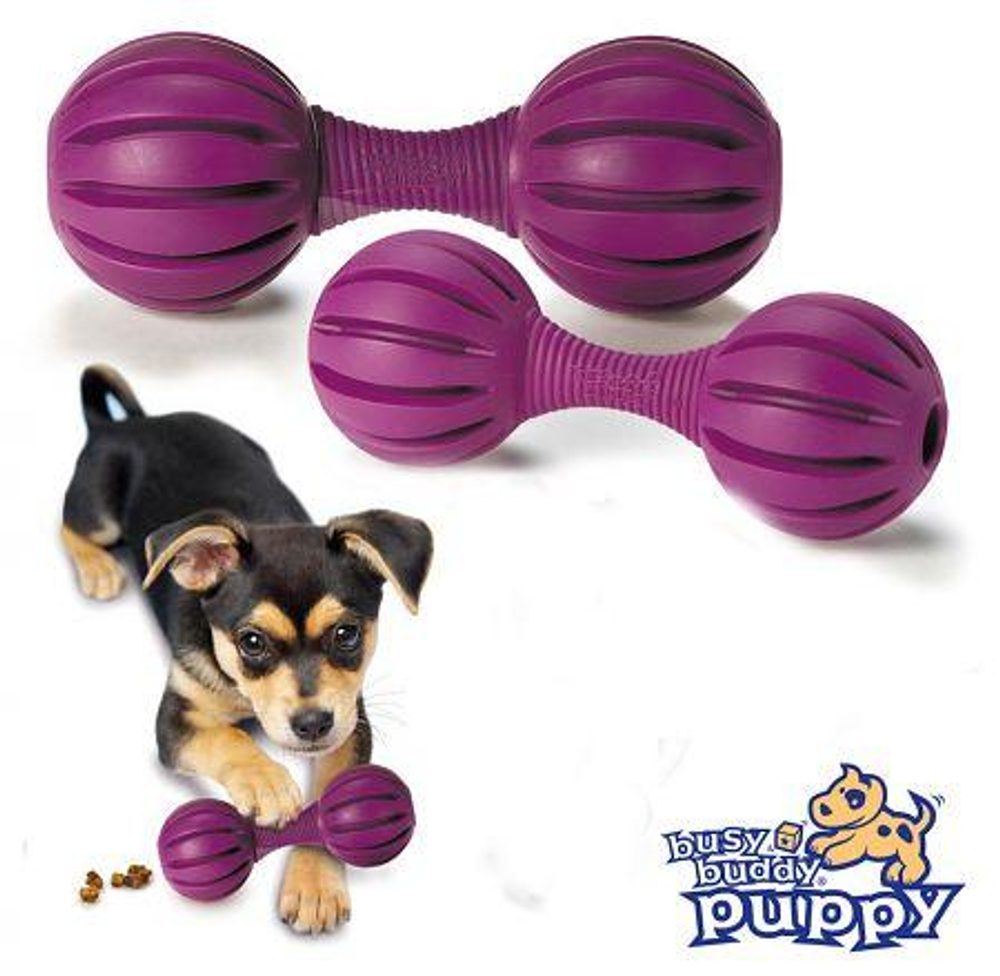 Hračka na pamlsky pro psy Waggle - M/L