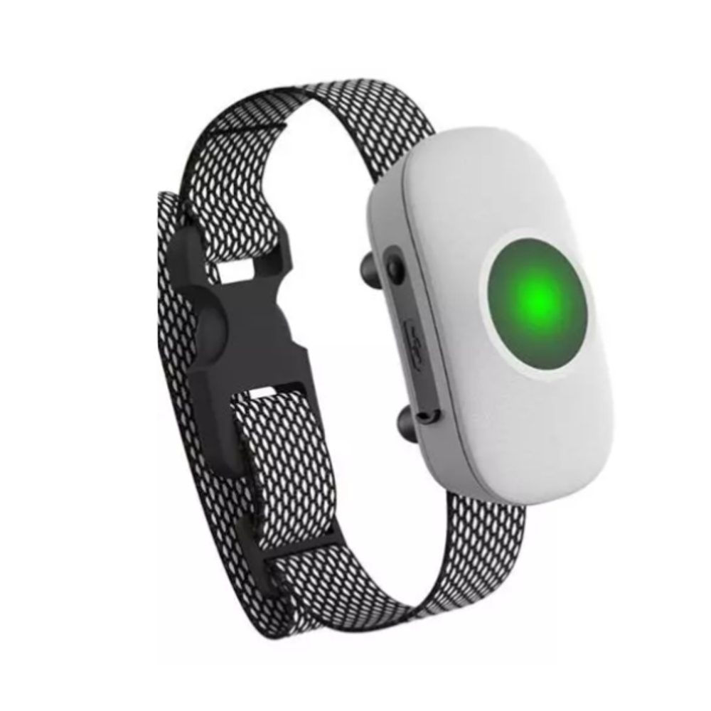 Obojek a přijímač Reedog TC-021 - Bílá