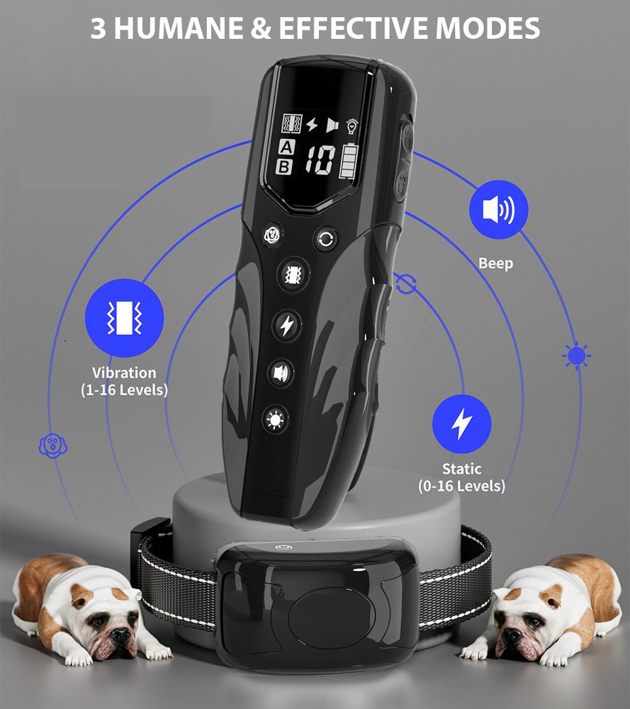 Patpet T710 - pro 1 psa (obrázek 3)