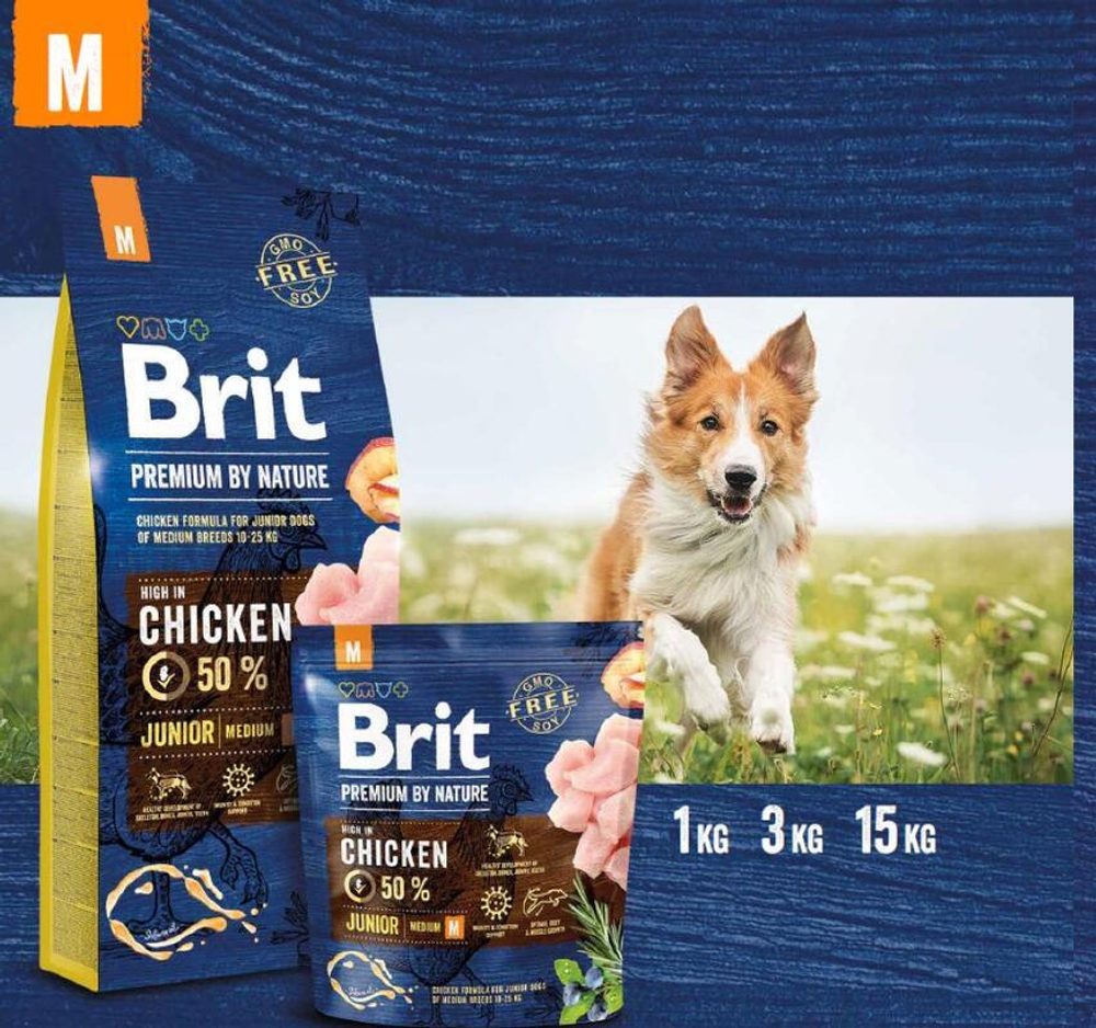 Expirácia 6.5. 2026: Brit Premium by Nature Junior M 15 kg