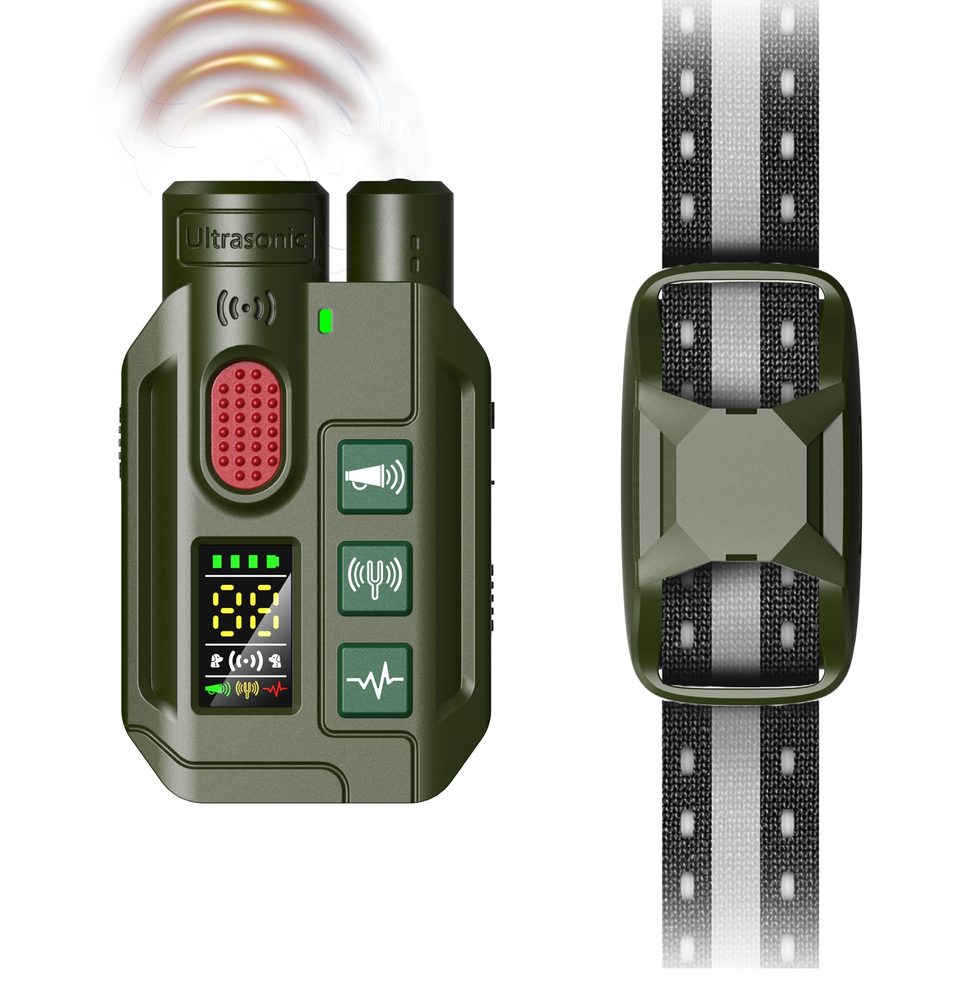Reedog RS11 - pro 1 psa