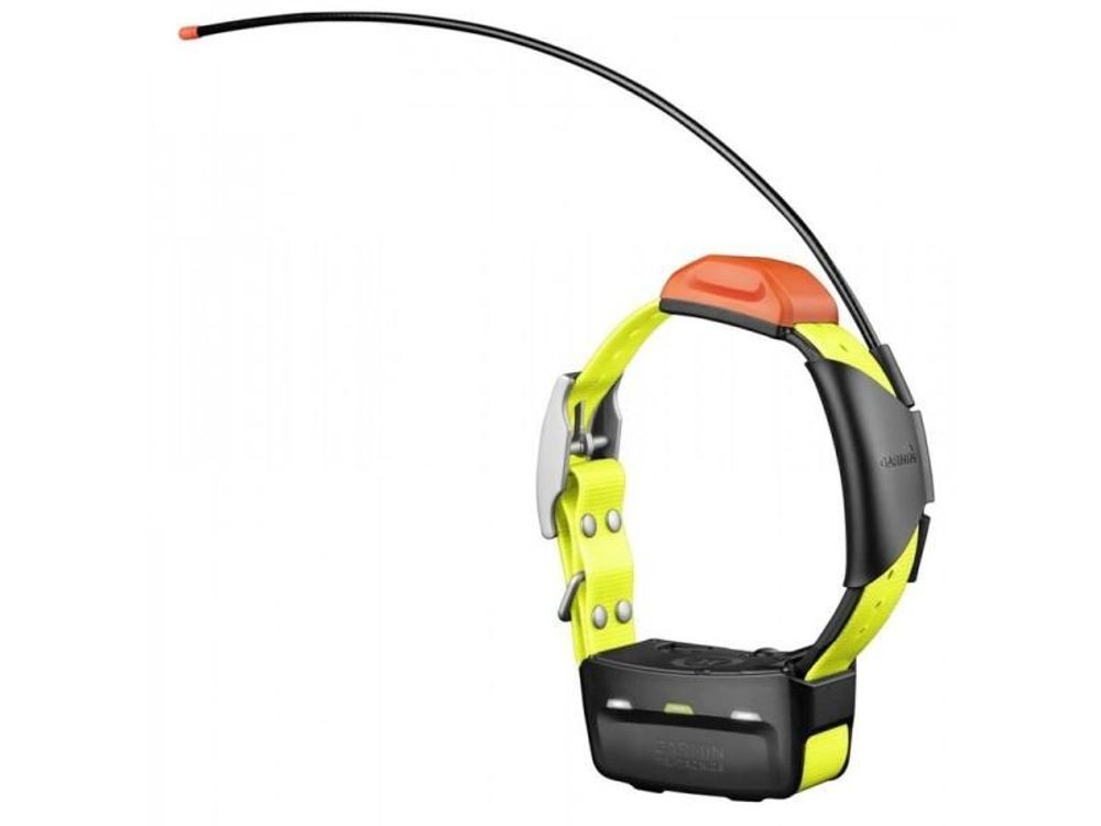 Obojek a přijímač Garmin T5
