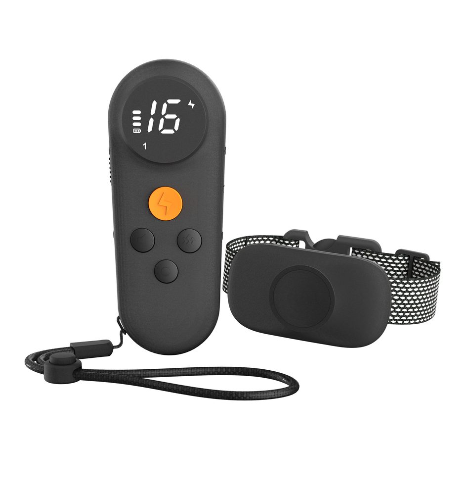 Reedog TC-021 Černá - pro 2 psy