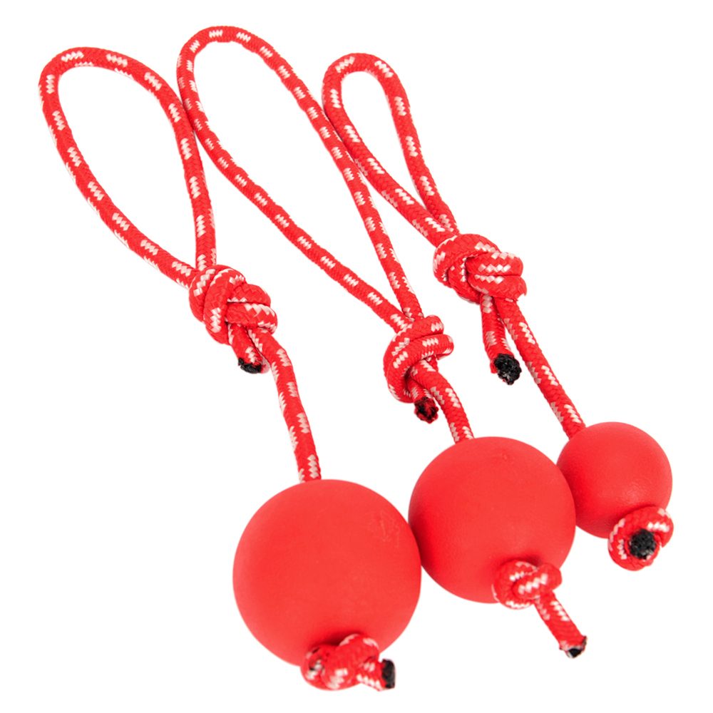 Reedog Throw&Fetch Ball - L 6,8cm