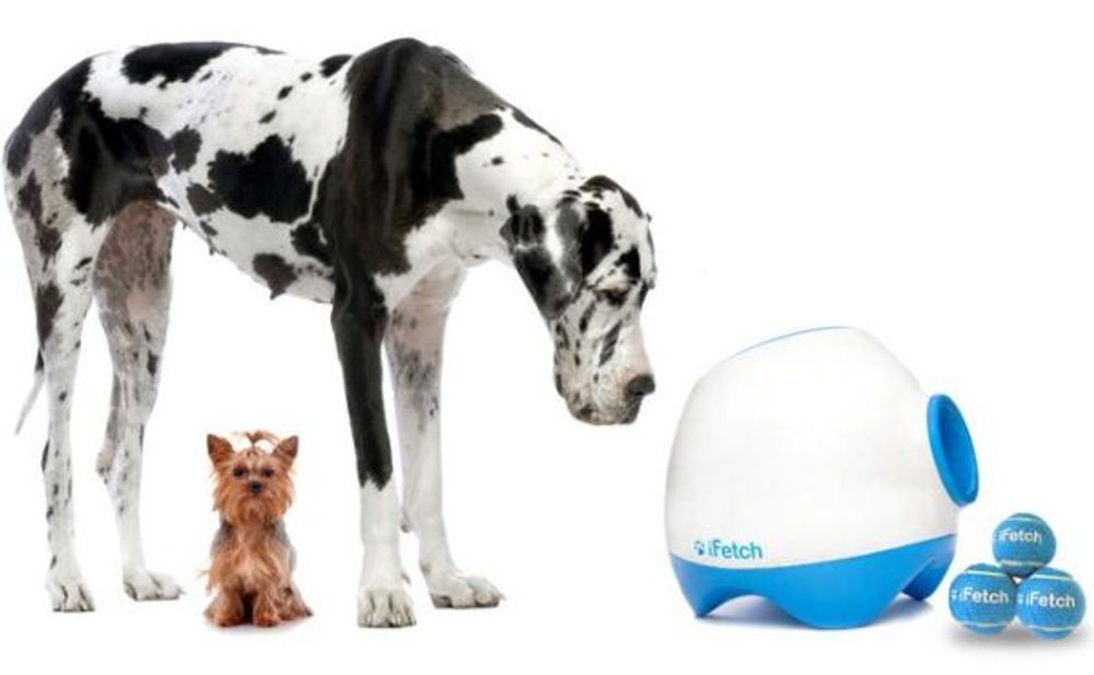 BAZAR - iFetch Too automatický vrhač loptičiek.
!UPOZORNENIE: Zariadenie je bez sieťového adaptéra!
Zariadenie je len rozbalené, prípadne bol poškodený obal a bolo preto prebalené do neoriginálneho obalu.
2) Zánovný
Tovar bolo používané ako predvádzacie, na predajni, alebo bolo zákazníkovi vymenený v priebehu niekoľkých dní.
3) Ľahko použitej
Zariadenie bolo používané 5 - 15 dní, sú na ňom už viditeľné škrabance od pazúrov.
4) Ťažko použité
Zariadenie bolo používané 15 až 40 dní, sú na ňom veľmi viditeľné škrabance, alebo odtlačky zubov.
Záručná doba u stave 