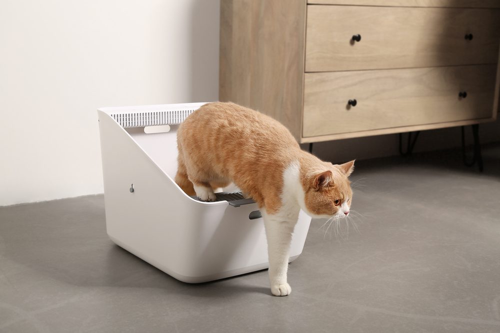 Petkit Pura Cat (obrázek 11)