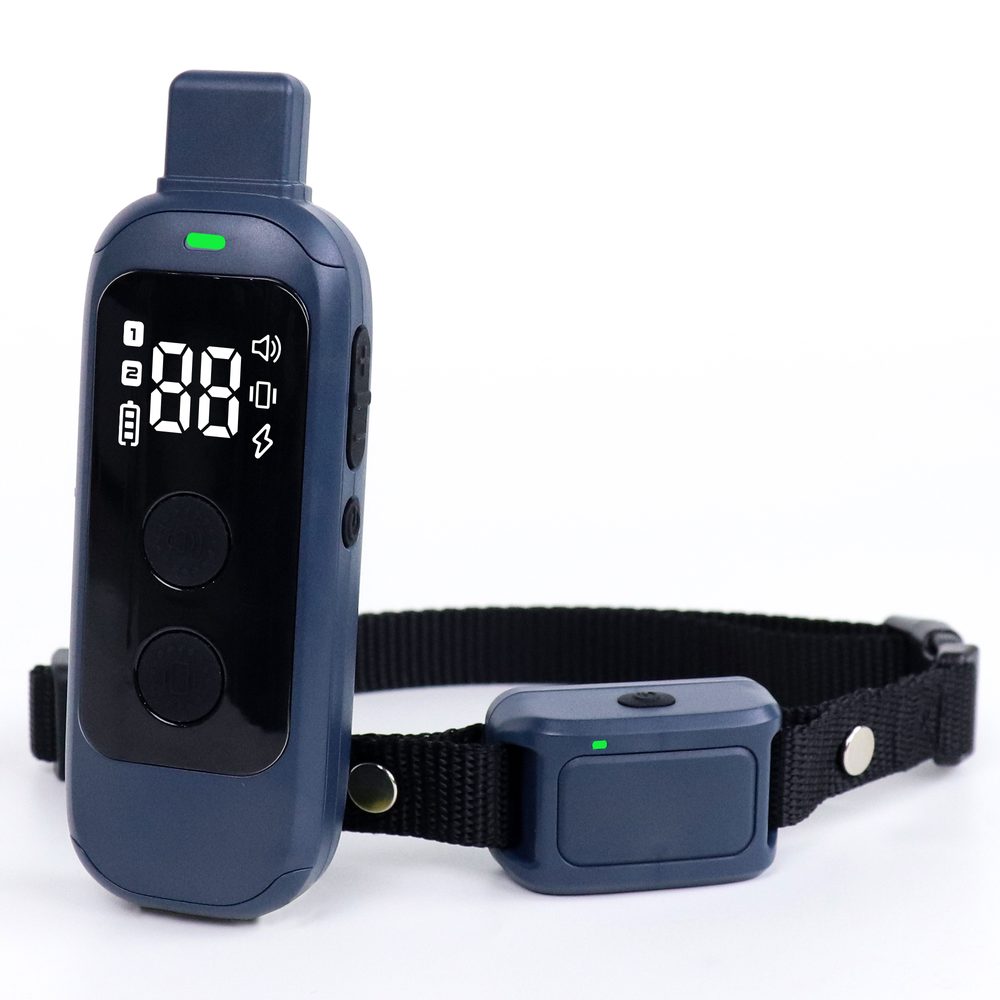 Patpet 681 - pro 2 psy