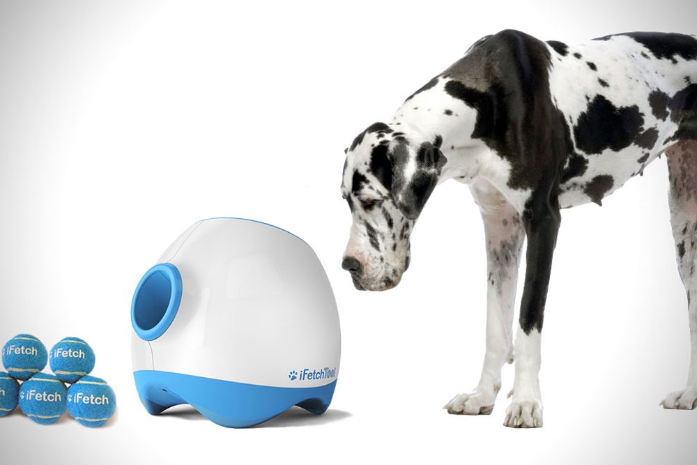 BAZAR - iFetch Too automatický vrhač loptičiek.
!UPOZORNENIE: Zariadenie je bez sieťového adaptéra!
Zariadenie je len rozbalené, prípadne bol poškodený obal a bolo preto prebalené do neoriginálneho obalu.
2) Zánovný
Tovar bolo používané ako predvádzacie, na predajni, alebo bolo zákazníkovi vymenený v priebehu niekoľkých dní.
3) Ľahko použitej
Zariadenie bolo používané 5 - 15 dní, sú na ňom už viditeľné škrabance od pazúrov.
4) Ťažko použité
Zariadenie bolo používané 15 až 40 dní, sú na ňom veľmi viditeľné škrabance, alebo odtlačky zubov.
Záručná doba u stave 