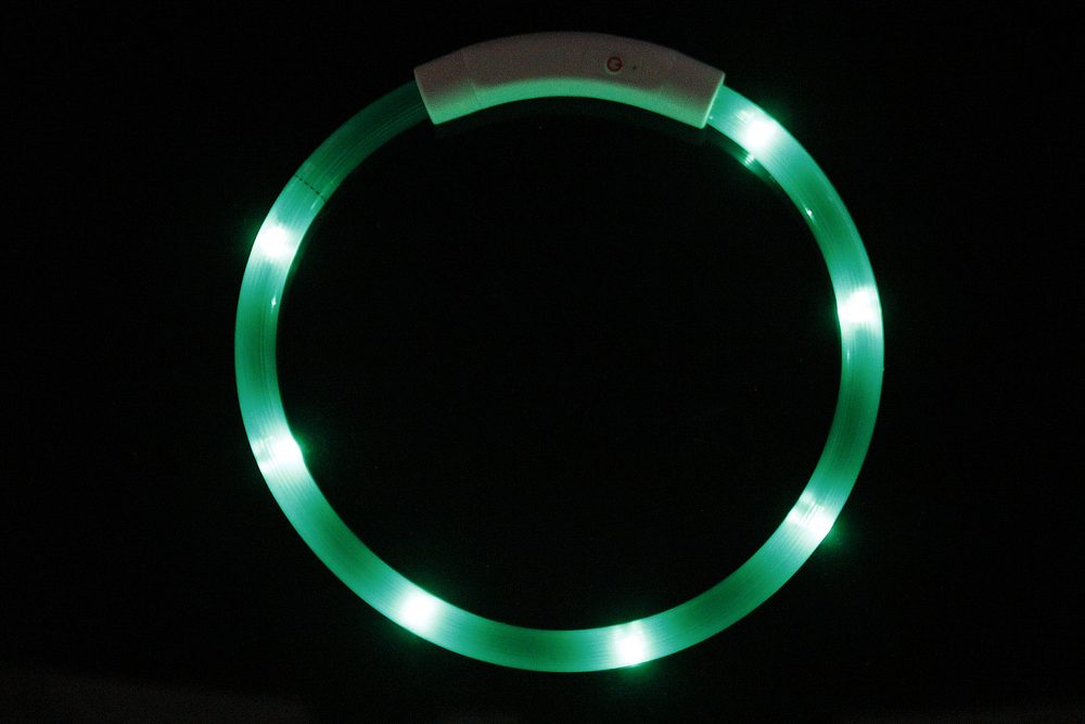 Reedog Easy Light USB dobíjecí svítící obojek pro psy a kočky - Modrá (obrázek 7)