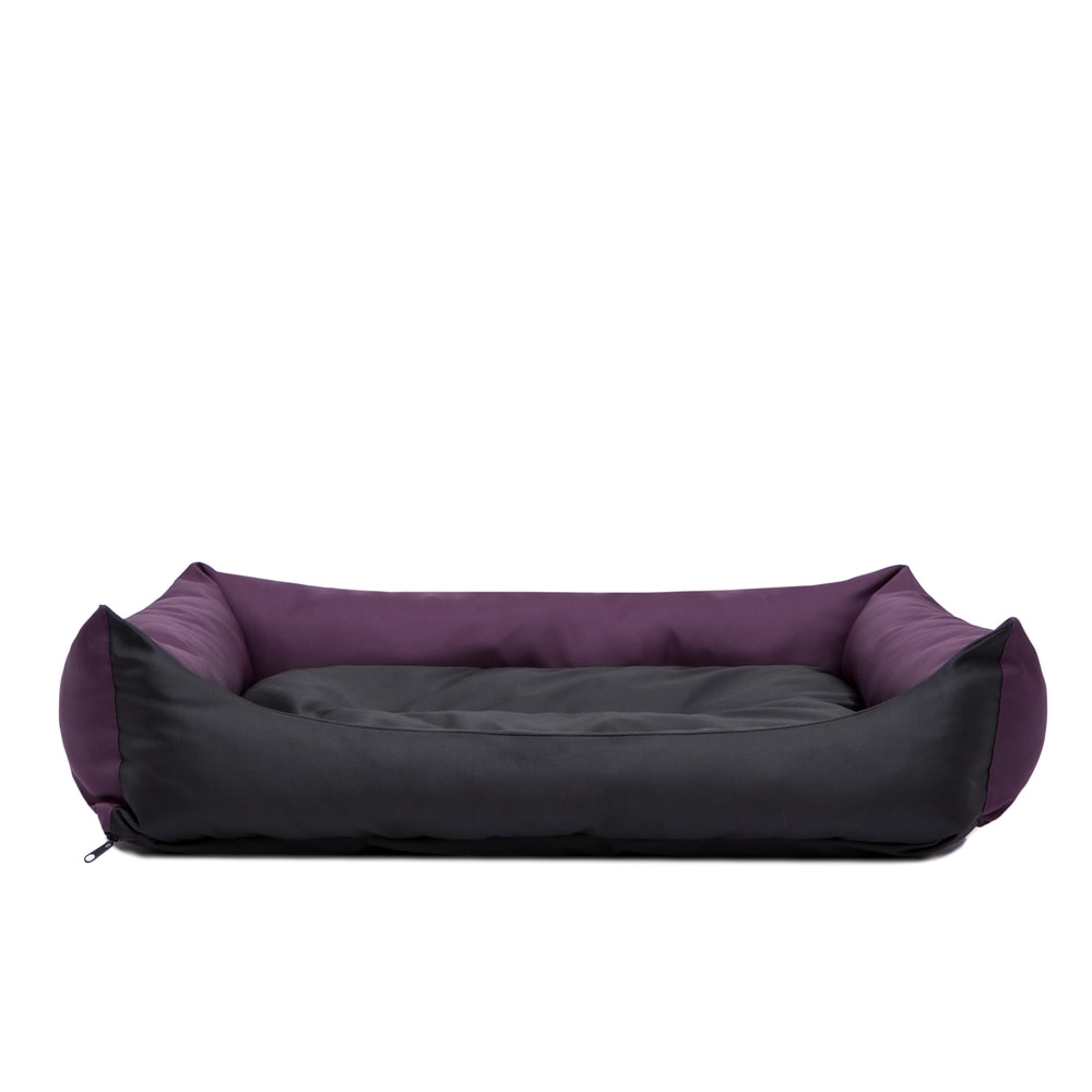 Reedog Eco Purple - XL