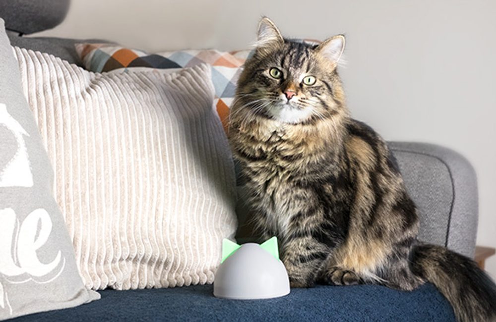 Dvířka pro kočky Sureflap Microchip Cat Door Connect (obrázek 3)
