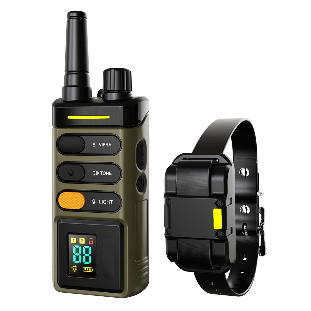 Patpet 625