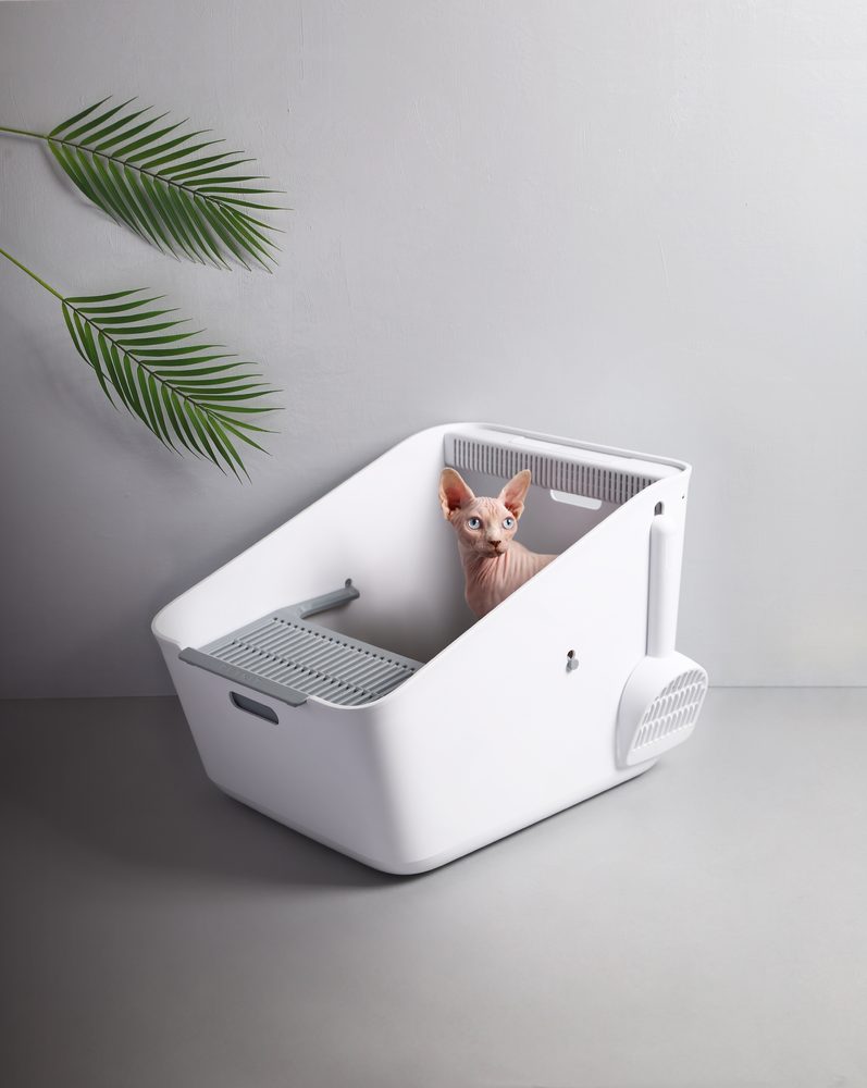 Petkit Pura Cat (obrázek 10)
