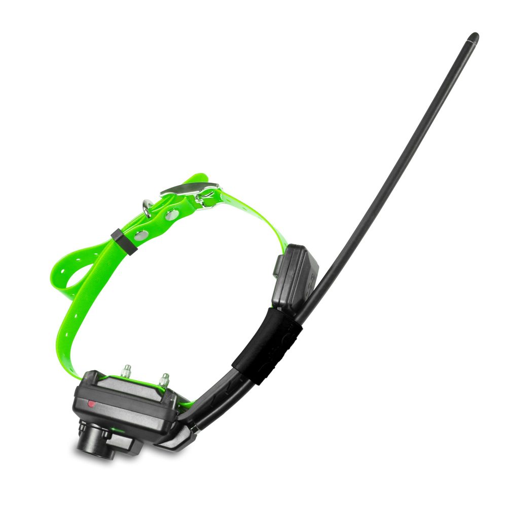 Kratší obojek pro dalšího psa - DOG GPS X30TB Short - Kratší obojek pro dalšího psa - DOG GPS X30TB Short - Zelená