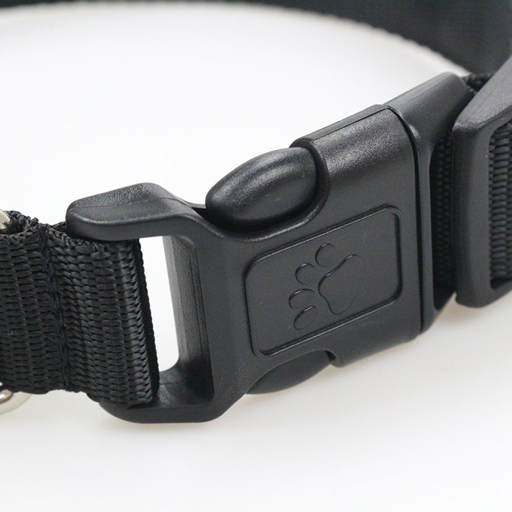 Svietivý USB svietiaci obojok Reedog pre malé, stredné a veľké psy - Modrá - L