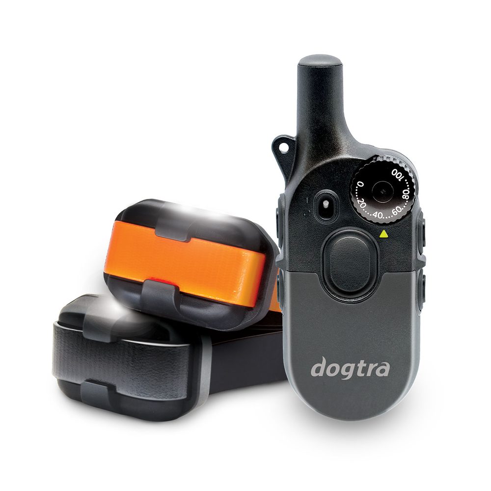 Dogtra 600iQ