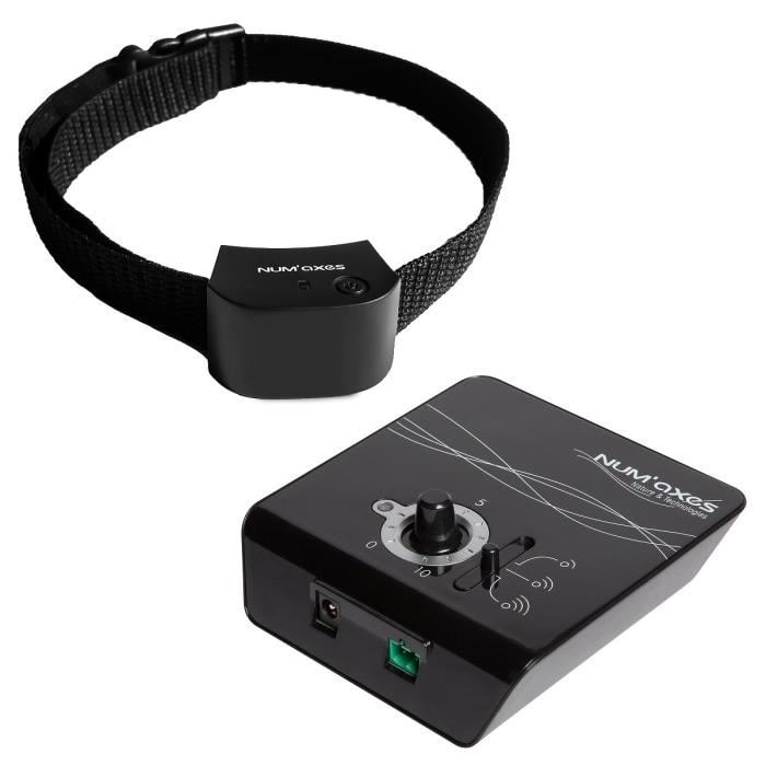Num´axes Canifugue Small - pro 4 psy