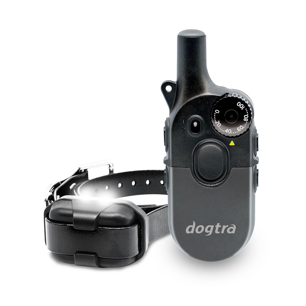 Dogtra 600iQ