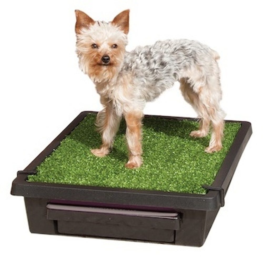 Pet Loo