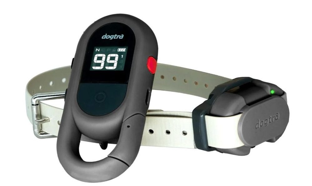 Dogtra IQ Flex - béžová (obrázek 4)