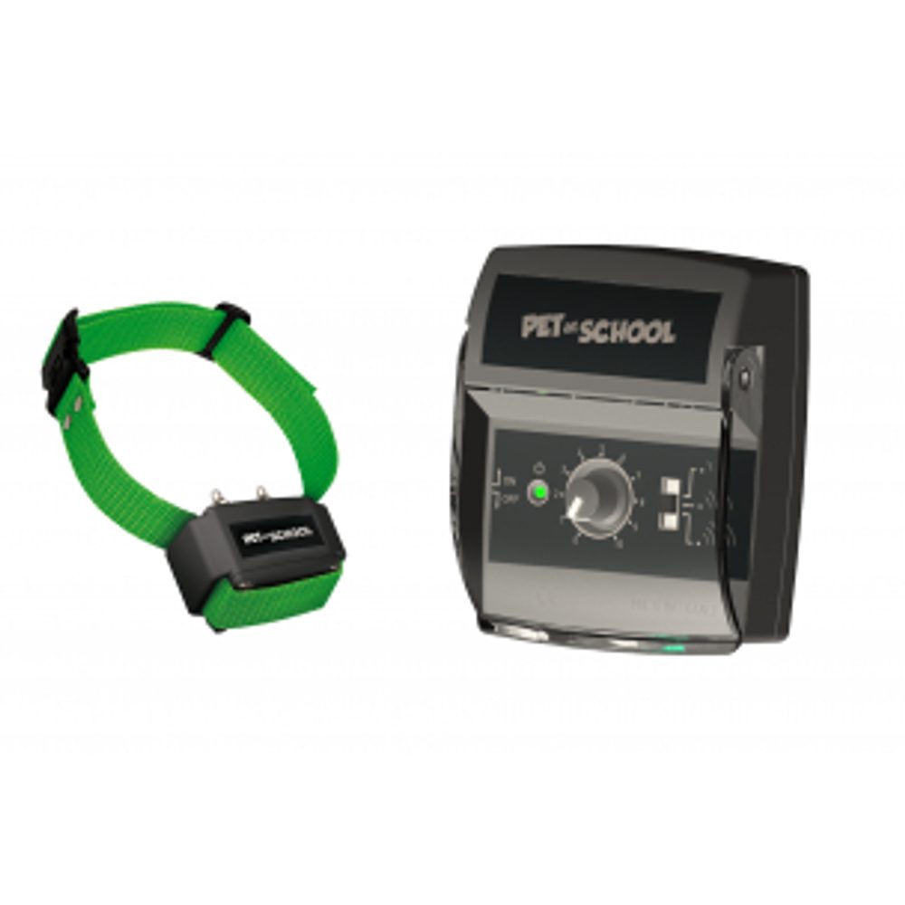 Pet at School - pro 1 psa