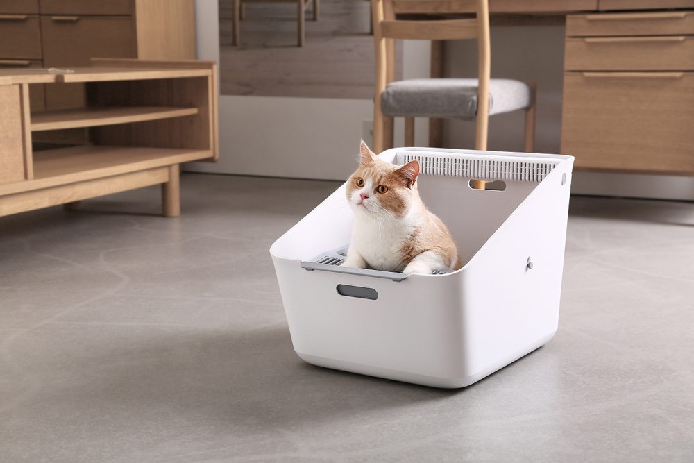 Petkit Pura Cat (obrázek 12)